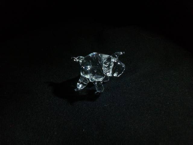 Clear Pig