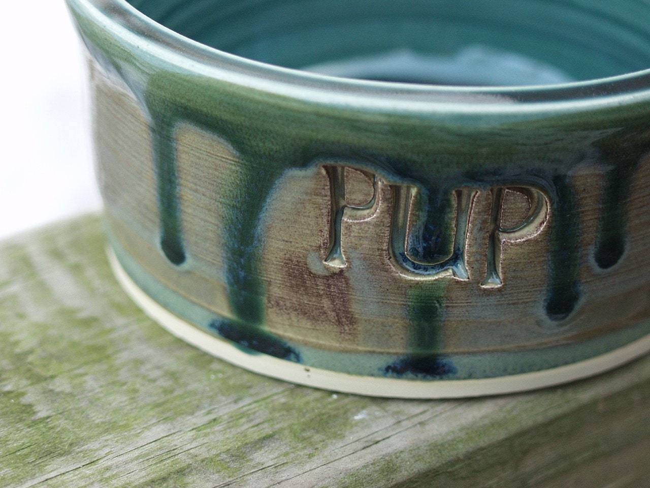 Ready to Ship Pet Food Dish Mossy Peacock