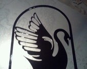 Elegant Swan