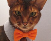 point collar in choice of color or print and interchangeable bow tie for cat