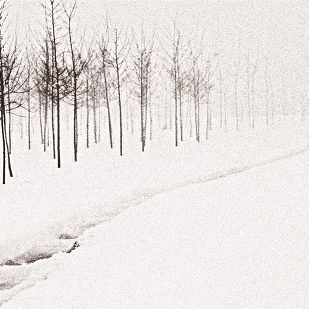 Foggy Drive 8x10 print