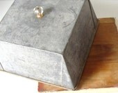 Rustic Early Vintage Cake Carrier Wood Glass Knob Metal Painted Primitive