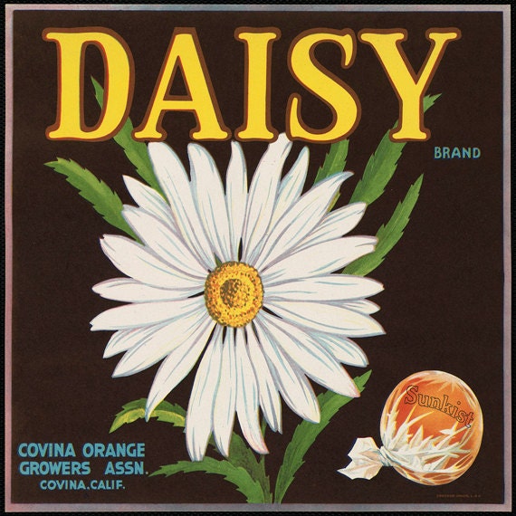 Daisy Vintage Print California Oranges Fruit Crate Label Wall Art