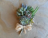 Succulent Corsage, Great For Special Events, Mother Of The Bride, Babty Shower, Rustic Wedding