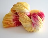 Worsted Hand Dyed Yarn - Superwash Falkland Merino - 246 yards Worsted Weight - Asiatic Lily in Buttercup Yellow and Magenta
