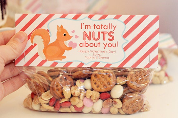 Valentine's Day Treat Bag Tags: Nuts about you -Printable PDF
