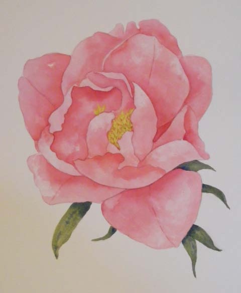 Painterly Peony IlI-Original Watercolor-Painting of Pink Flower