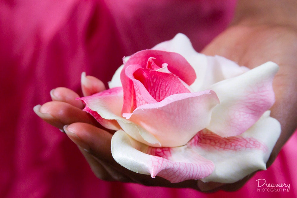 Blushing Pink Rose Flower Hair Clip