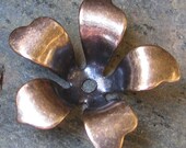 Brass Flower Metal stamping embellishments Cold Connections Antiqued Brass 1343 - 6 pieces