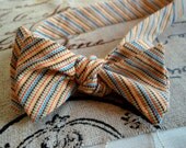 Lighthearted Stripe Bow Tie