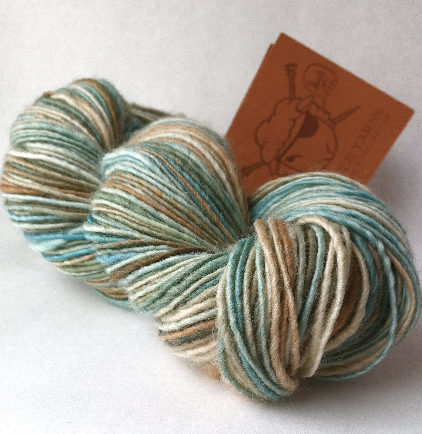 Robin's Egg - handspun yarn, DK weight