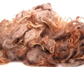 Icelandic Lambswool Locks CREME CARAMEL  Gray Moorit 8 inches Washed Wool 6 oz