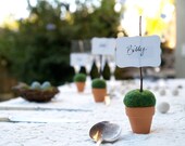 Garden Wedding Place Setting Cards, Rustic Moss Favors 10 Mossy Fairytale Fairy Classic Shabby Chic Country Theme Baby Shower Flower Pot