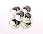 Kiwi Bird Buttons. 6 Handmade Buttons. Sewing, Knitting or Crochet Supplies.