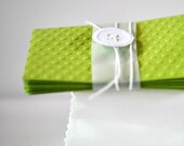 Note Set x 5 Green Embossed Dots