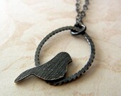 Petite little bird