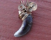 Brown Timber Wolf - Real Large Wire Wrapped Wolf Claw Pendant