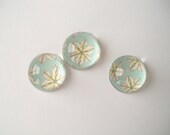 Vintage Flower Magnets, Fridge Magnet Set, Acrylic Cabochons
