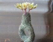 growing nature needle felted shetland wool ring size 7 7.5 FREE SHIPPING