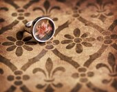 20% OFF Sale Size 7 Photo Jewelry Ring - Vintage Lily - original photography - ready to ship - Valentines Day