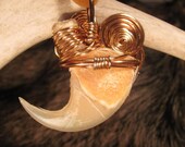 Lions Den - Real Large Wire Wrapped XL Mountain Lion Claw Pendant