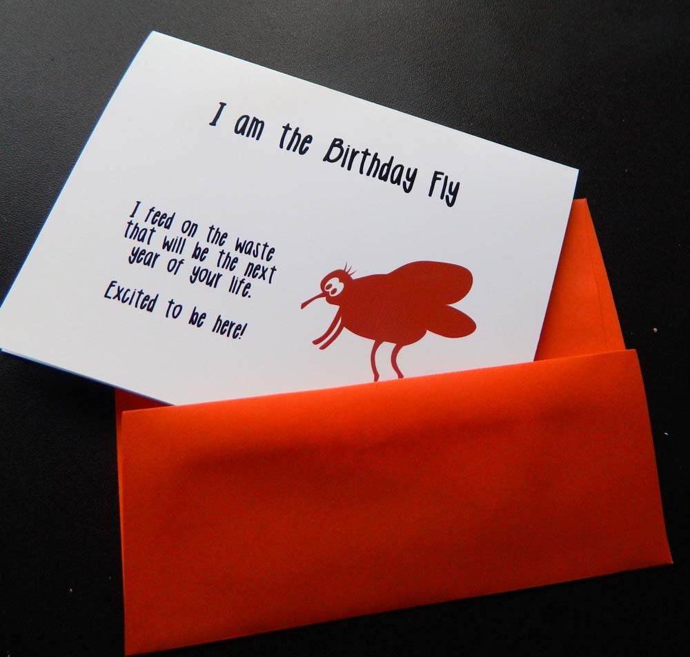 Funny birthday fly card  (WG 193)