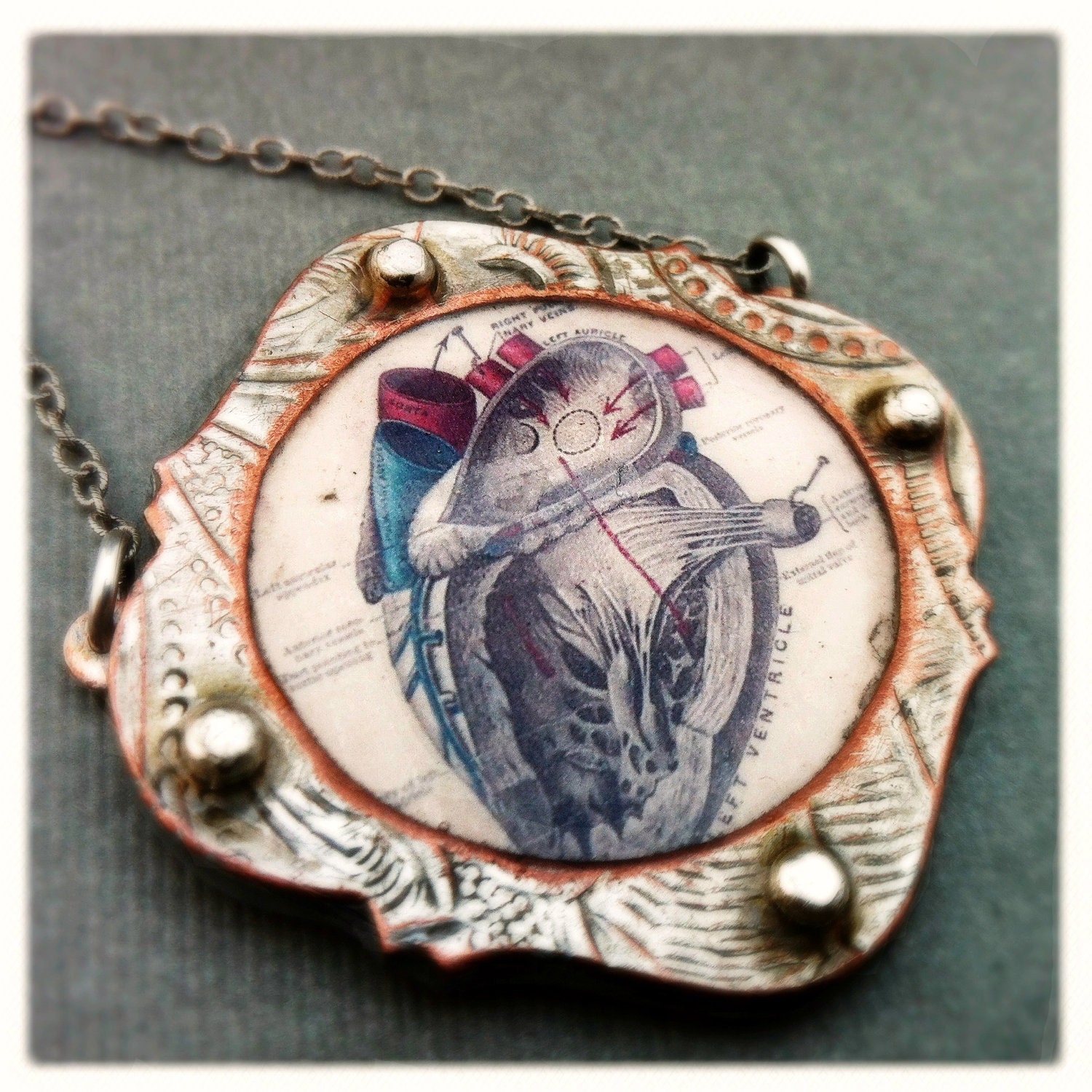 Anatomical Heart Necklace - Antique Print - Steampunk - Valentine's Day - Reclaimed Metal