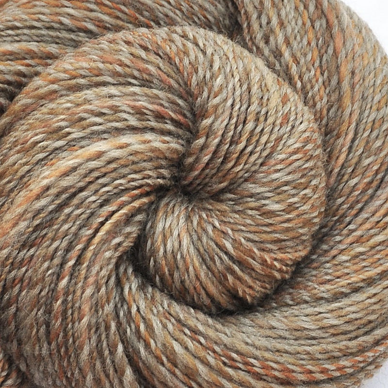 Hand spun yarn - CHIPMUNK - Handpainted Blue Faced Leicester (BFL) wool plied with natural colored Louet wool, DK weight, 685 yards