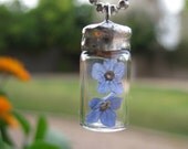 Forget Me Not Glass Vial Pendant with Real Forget Me not Flowers