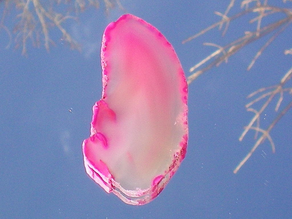 Curve of Pink Agate