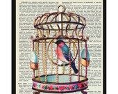 VALENTINES SALE Vintage Book Print-Birdcage  8x10