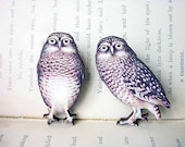 Owl Brooch Set Woodland Pin Vintage Illustration Forest Natural History