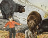 Strange Bear Art Collage Dark Humor