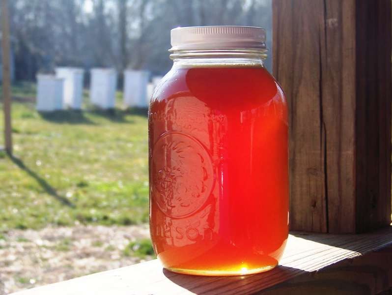 Raw Wildflower Honey, Tennessee Wildflower 3 lb Jar Raw Pure Honey