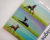 DOBERMAN PINSCHER Magnets