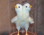 2-HEADED CHICK real animal rogue taxidermy sculpture for cabinet of curiosities