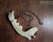 Crystal Jaw bone -  canine jaw bone with crystals