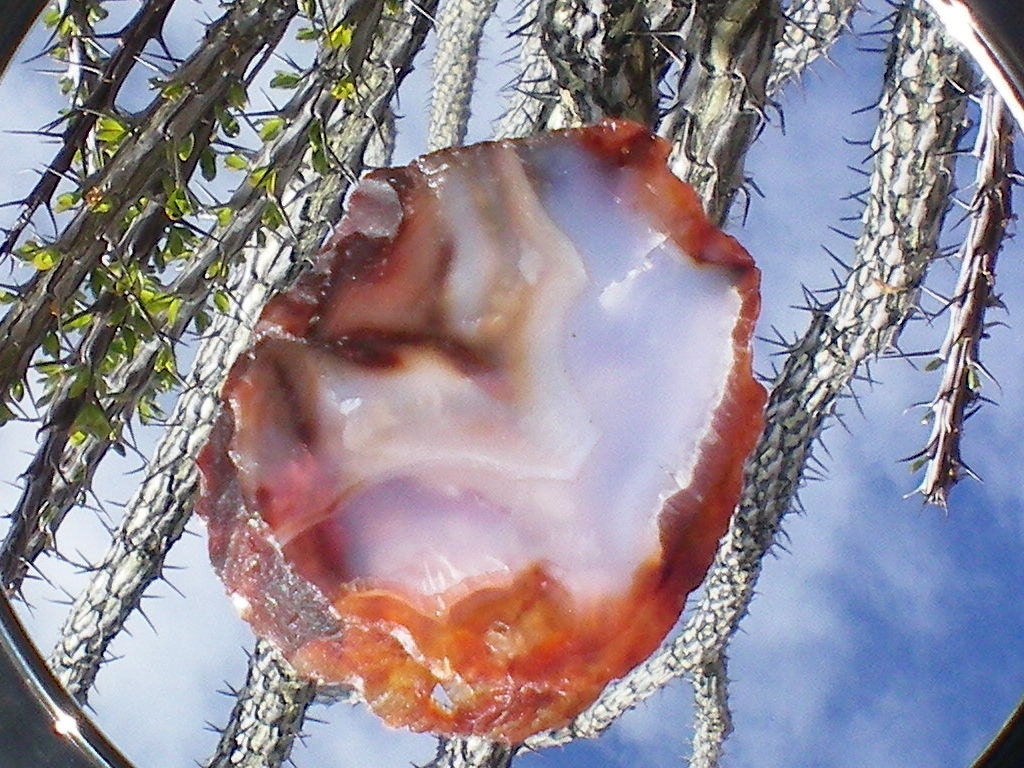 Carnelian Beauty