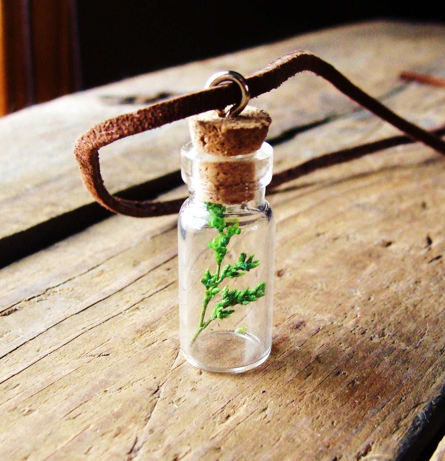 Necklace - Baby Tree in Miniature Jar on Leather Cord - For Him or Her
