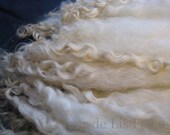 LONG Cotswold Ewe  Lamb  Sheep Locks - Washed and Flicked - Ready to Spin, Doll Hair, Embellish.