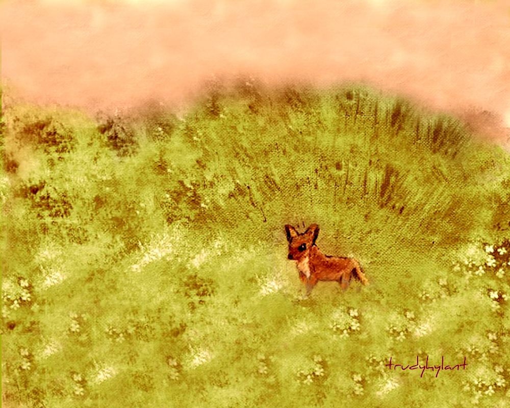 Red Orange Fox Art Print Woodland Green Flower Meadow Landscape