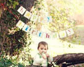 Happy Birthday Banner 2 Piece Garland Shabby Chic Multi Color Custom Wood Sign