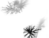 Mini Bloom Earrings - stainless steel and sterling silver studs - nervoussystem