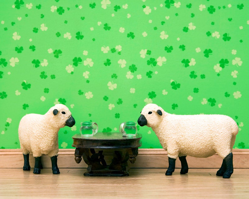 Saint Patrick's Day, sheep, spring, clover, shamrock, green - Luck-O-The-Sheepish 8 x 10