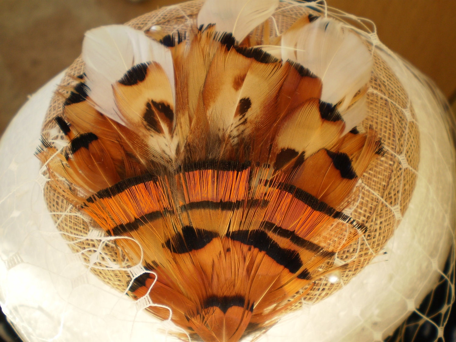 Pheasant Delight-pheasant tan,orange and cream feather birdcage veil fascinator - TrulyFascinated