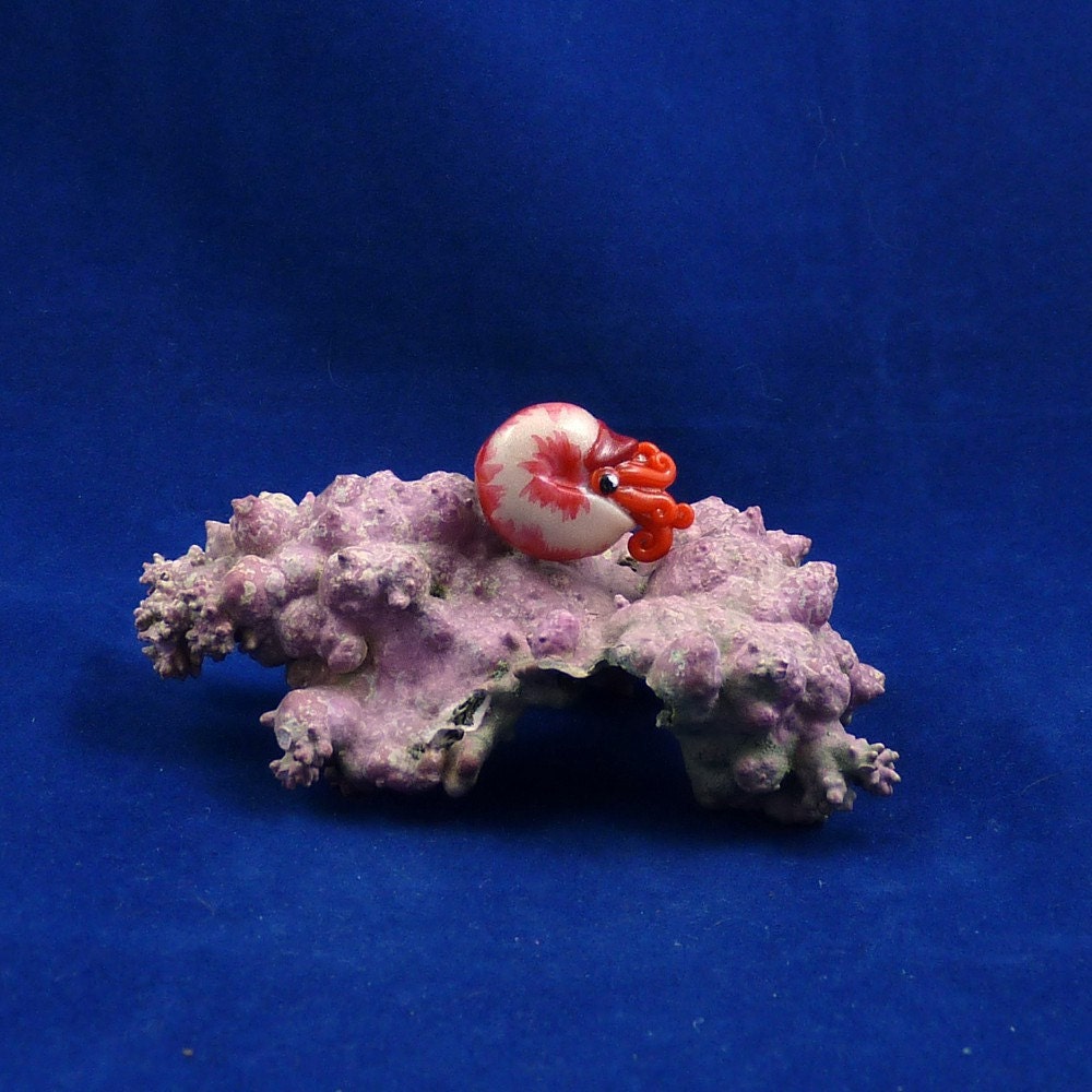 Vivid Red Nautilus Pin - Handmade Polymer Clay Jewelry