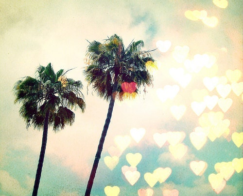 LARGE PRINT SALE - California, Los Angeles, Palm Trees, Nature, Bokeh, Hearts, Love, Wall Decor, Travel Photography -Palm Tree Bokeh