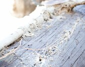 Beach themed photography, 8x8 print, pastel blue, close-up, pretty decor. Free domestic shipping.