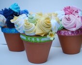 Small PInk, Blue or Yellow Baby Bouquets