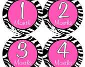 Baby Month Stickers Baby Girl Monthly Onesie Stickers Hot Pink Zebra Stripes Month Stickers Baby Shower Gift and Photo Prop Molly